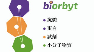 Biorbyt 抗體 - Biorbyt 抗體