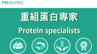 Prospec 蛋白，值得您的青睞 - Prospec 蛋白，值得您的青睞