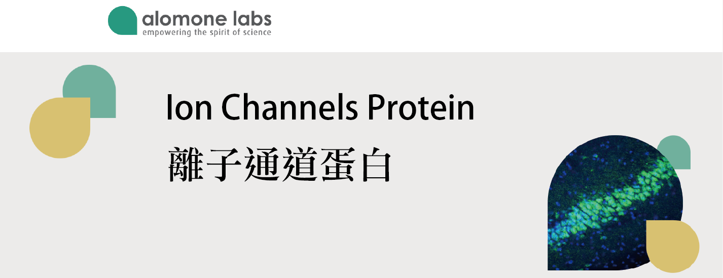 alomone labs ion channel protein